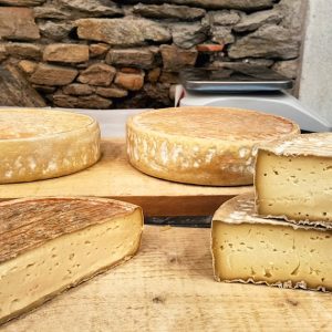 tomme-fromage-tommes_et_compagnie-la_remaudiere-boutique-2023-2